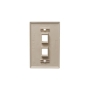 FACEPLATE, OVERSIZED, 2-PORT, IVORY