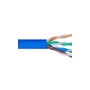 CMR CAT6 UTP 500 MHz (NO SPLINE)