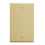 Flush Wall Plate Blank IVORY