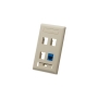 FACEPLATE, ID, 1-GANG, 4-PORT, IVORY