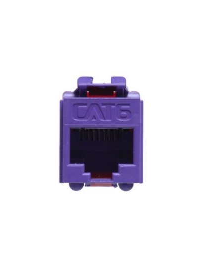 MODULE, CAT 6, HD, PURPLE