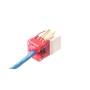 MODULE, CAT 6, HD, ALMOND