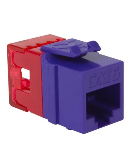 MODULE, CAT 6, HD, 25PK, PURPLE