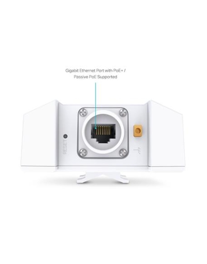 AX3000 Indoor/Outdoor Dual-Band Wi-Fi AP
