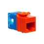 MODULE, CAT 5e, HD, 25 PK, ORANGE