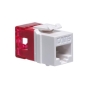 MODULE, CAT 6, HD, 25PK, WHITE