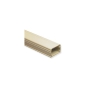 RACEWAY 1 1/4inW X 3/4inH X 6'L IV