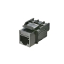 MODULE, COUPLER, CAT 5e 25 PK, BLACK