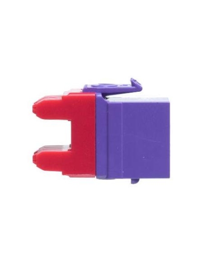 MODULE, CAT 6, HD, PURPLE