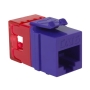 MODULE, CAT 6, HD, 25PK, PURPLE