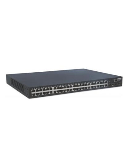 48-Port Gigabit Ethernet Web Mgd Switch