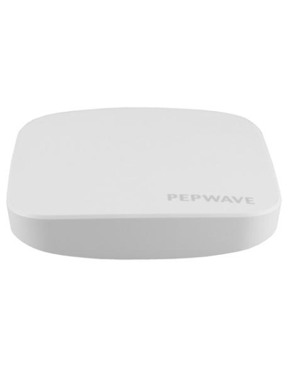 Enterprise Dual Band Access Point